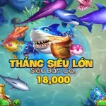 ban ca b52 20251115 135752 3